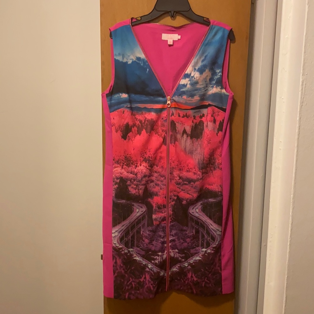 Ted Baker limited edition pink dress. Size 1
